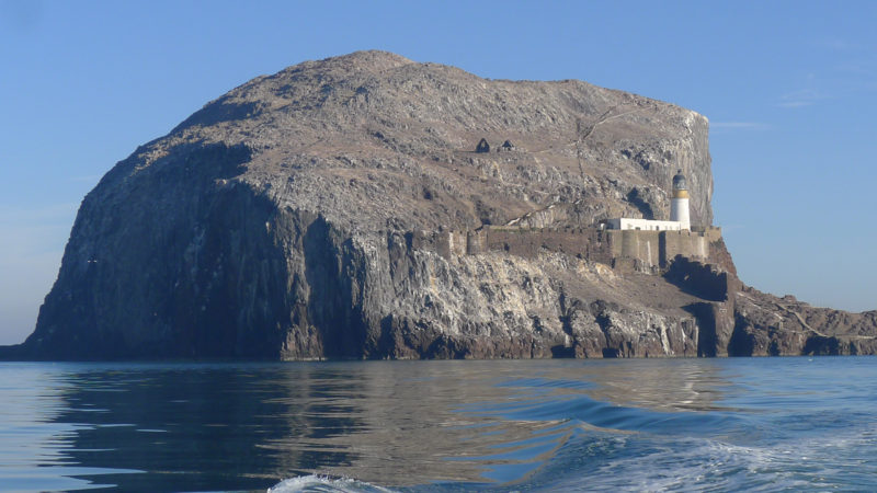 Bass Rock Boat Trips