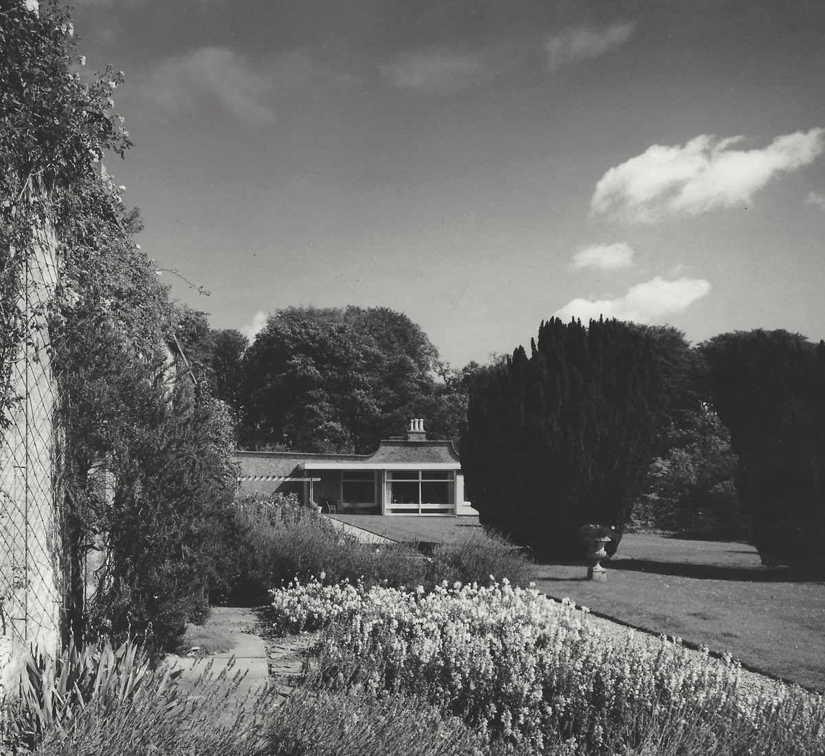 Mid-Century Modern House