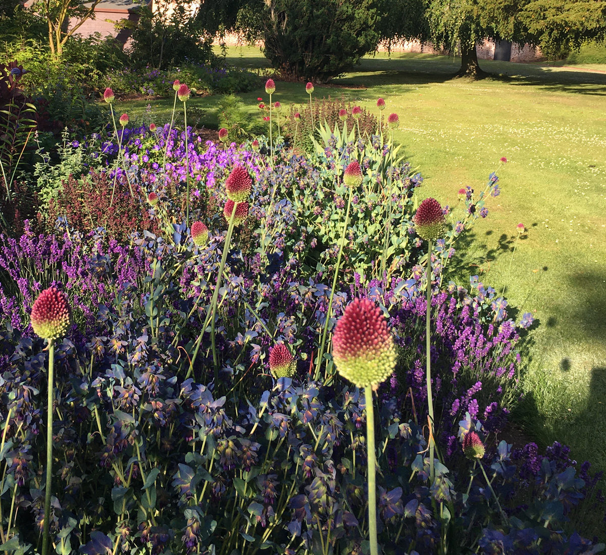 Garden and Grounds