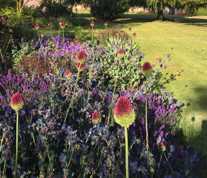 Garden and Grounds
